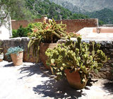 Προτάσεις - Φωτό 13