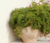 Προτάσεις - Φωτό 11