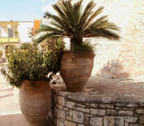 Προτάσεις - Φωτό 8