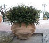 Προτάσεις - Φωτό 7 