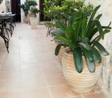 Προτάσεις - Φωτό 22