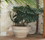 Προτάσεις - Φωτό 21