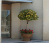 Προτάσεις - Φωτό 19