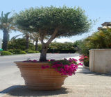 Προτάσεις - Φωτό 18