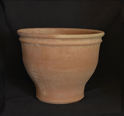 Μυρτώ Γ (38 x 50)